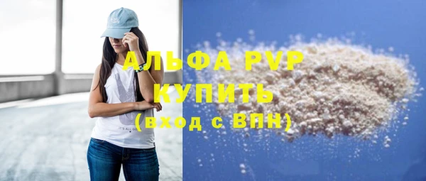 индика Алексин