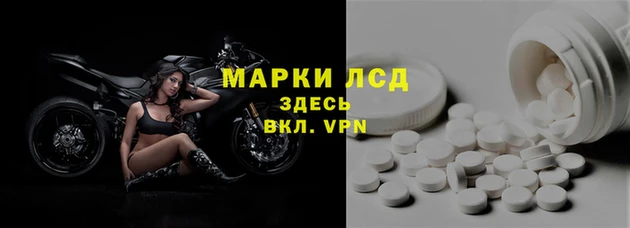 индика Алексин