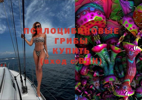 apvp Осташков