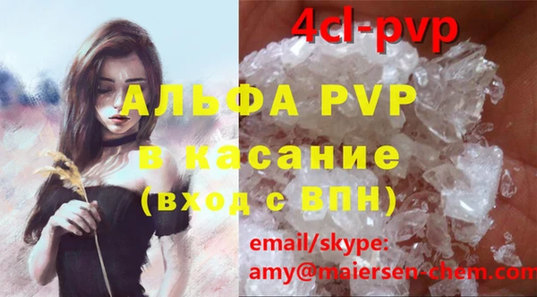 индика Алексин