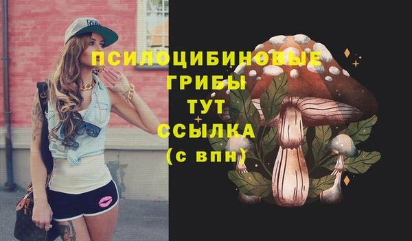 индика Алексин