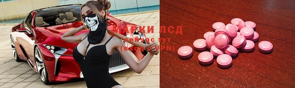 индика Алексин