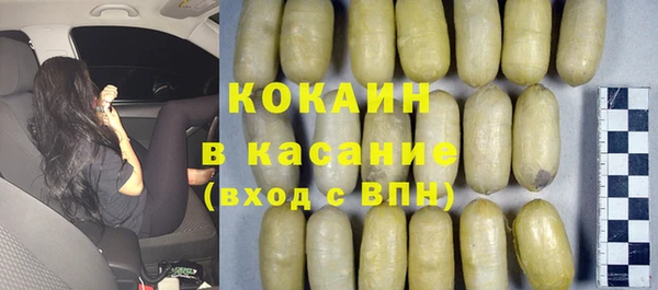 индика Алексин