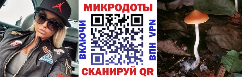 Псилоцибиновые грибы Psilocybe  ссылка на мегу как войти  Ленинск  наркошоп 